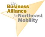 BAFNEM Logo